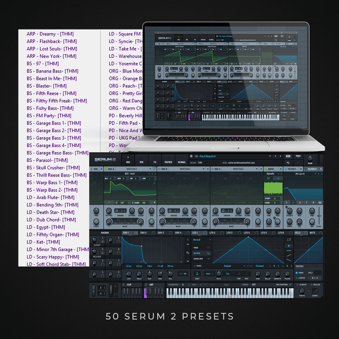 Swing Theory Vol.1 - UKG x House - Serum 2 Presets